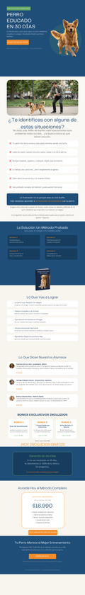 Perro Educado En 30 Días