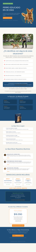 Perro Educado En 30 Días